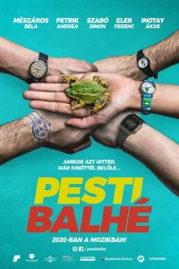  Ограбление в Будапеште 